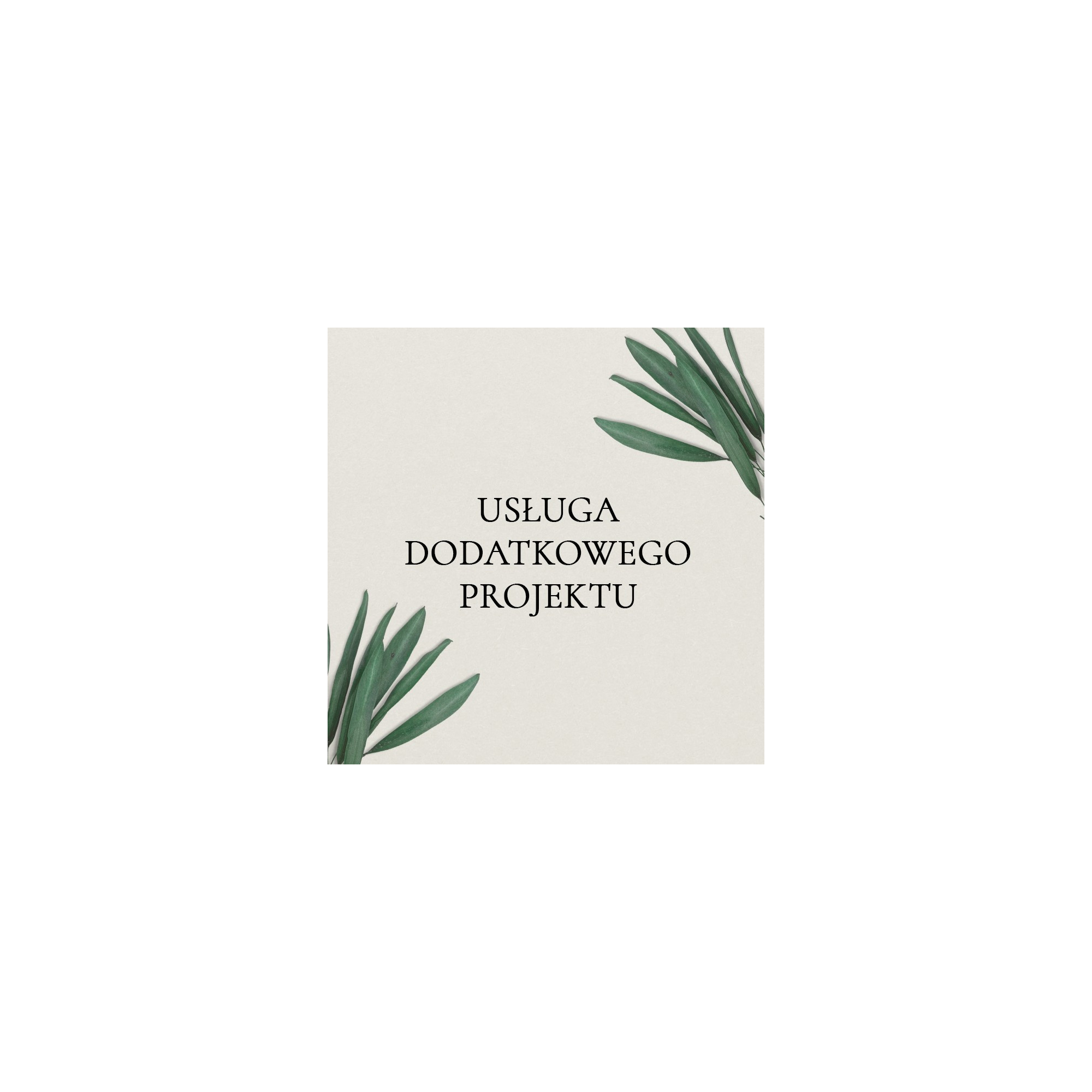 Usługa dodatkowego projektu
