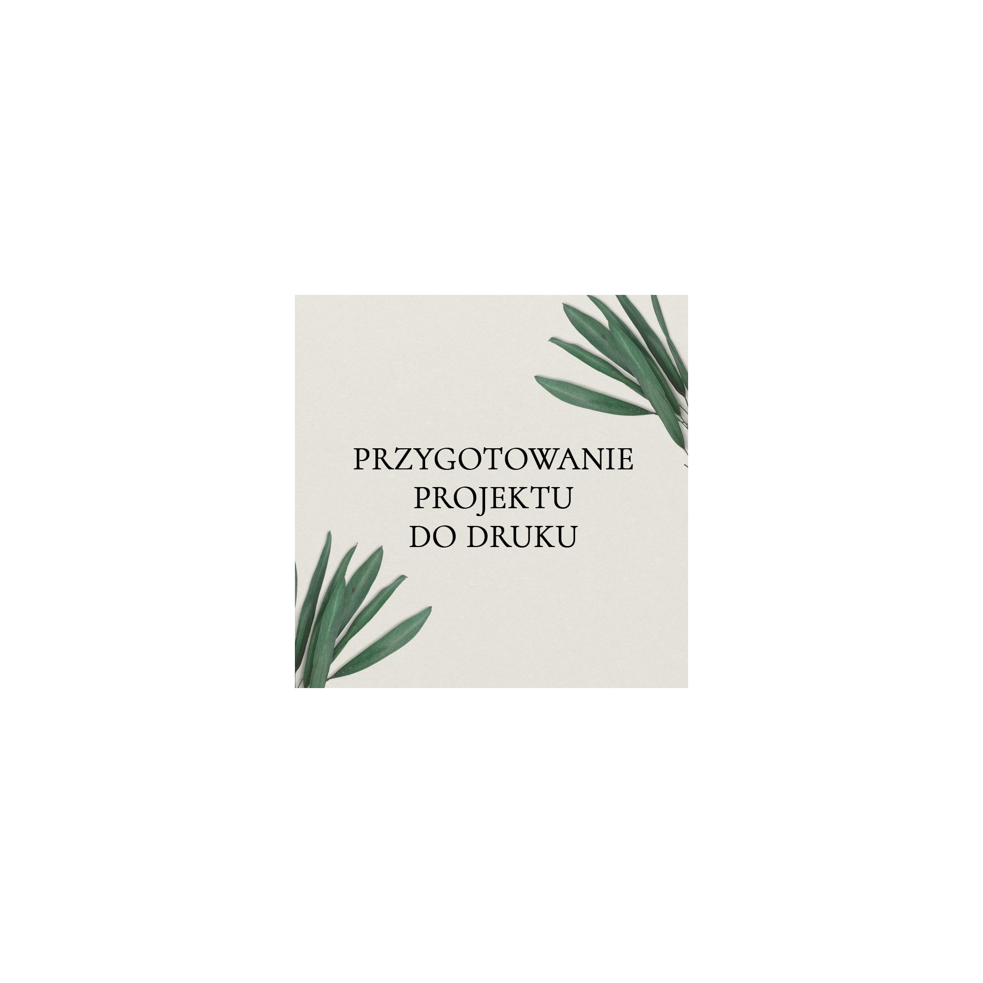 Usługa przygotowania TWOJEGO PROJEKTU do druku