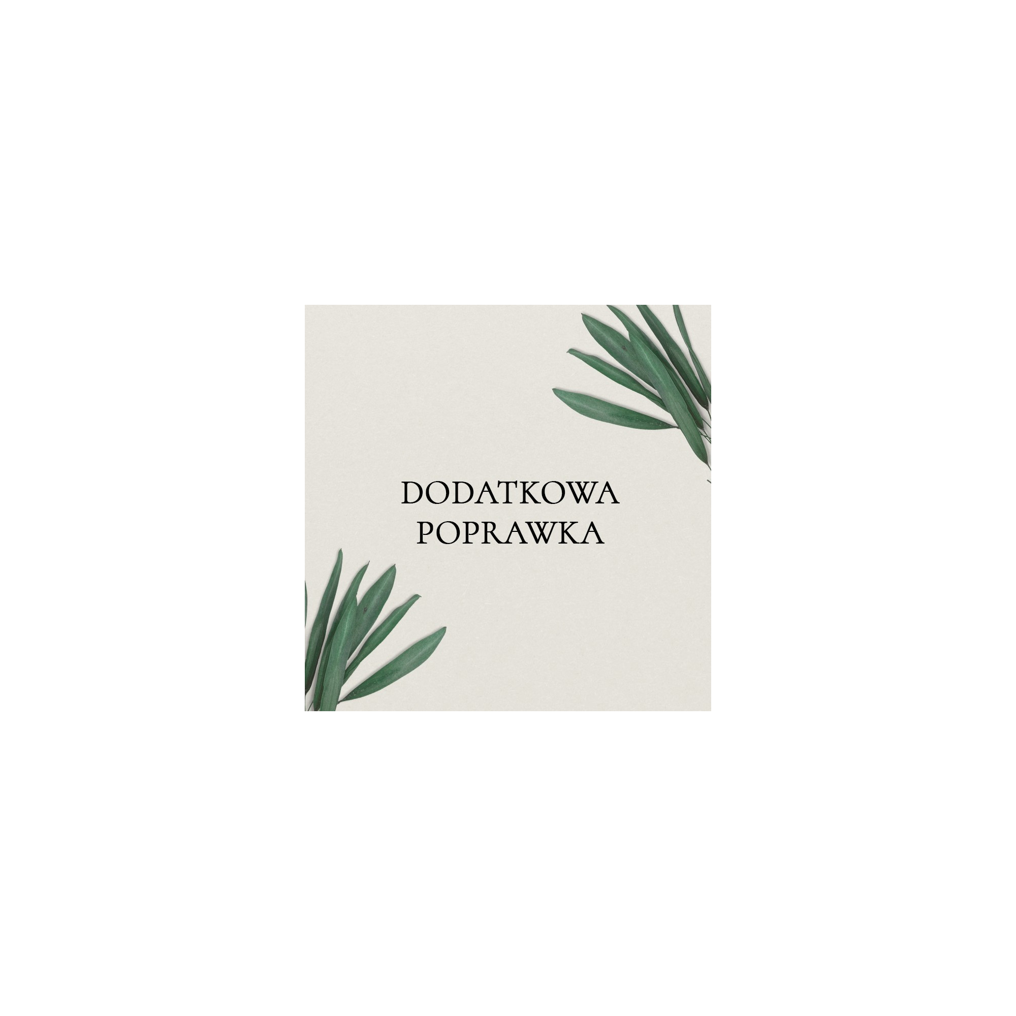 Dodatkowa poprawka (do zakupienia po wykorzystaniu gratisowej poprawki)